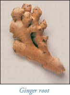 Ginger root