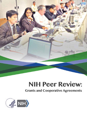 peer review pdf image